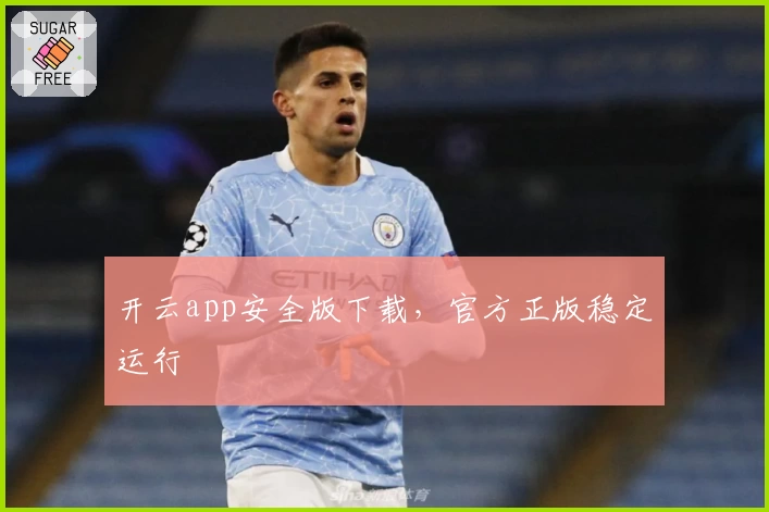 开云app安全版下载，官方正版稳定运行